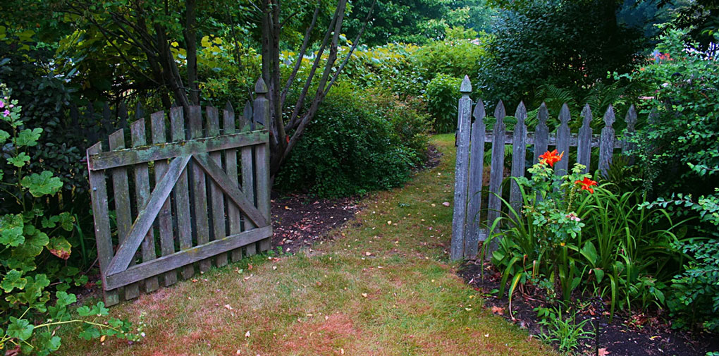 A wooden fence and gate in the middle of a garden.